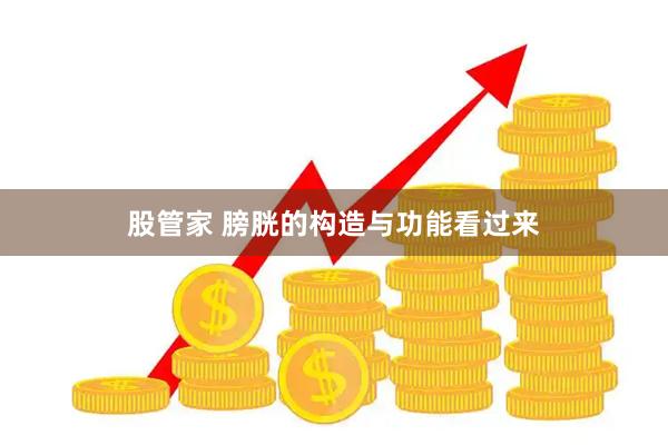 股管家 膀胱的构造与功能看过来
